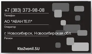 Кто звонил с 3833739808 - регион и оператор